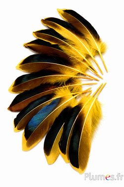 Anatra - 8-10 cm - giallo